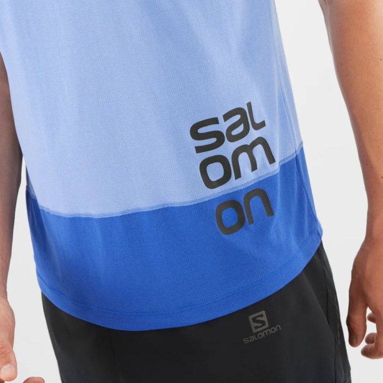 Blue Salomon Cross Run Graphic Short Sleeve Men's T-Shirts | IE HN0729